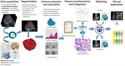 Frontiers | Study Processes and Applications of Ultrasomics in